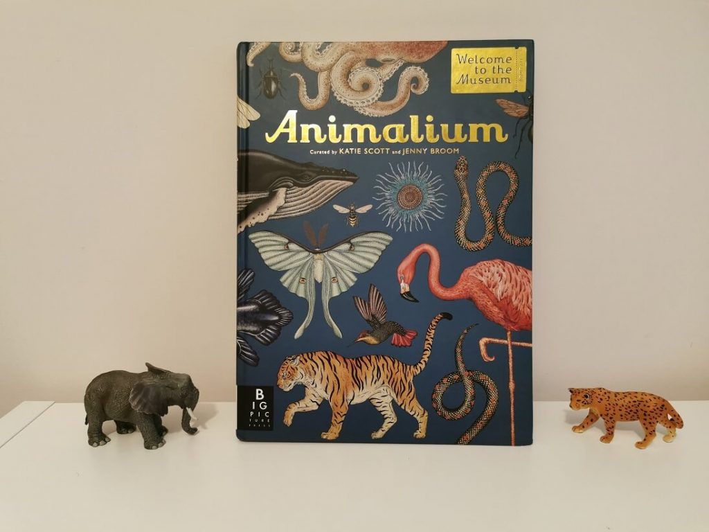 cadou-2-3-ani-animalium-zoo